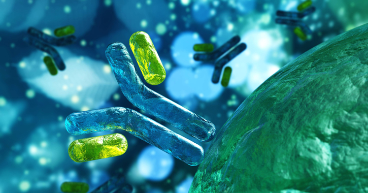Immunrendszer