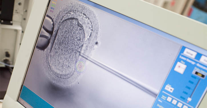 IVF