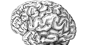 Milyen életmódtényezők növelik a stroke kockázatát?