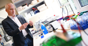 PARP-gátlók újrapozicionálása és koronavírus