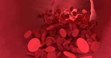 Az érgyulladás (vasculitis) típusai