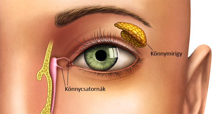 Könny