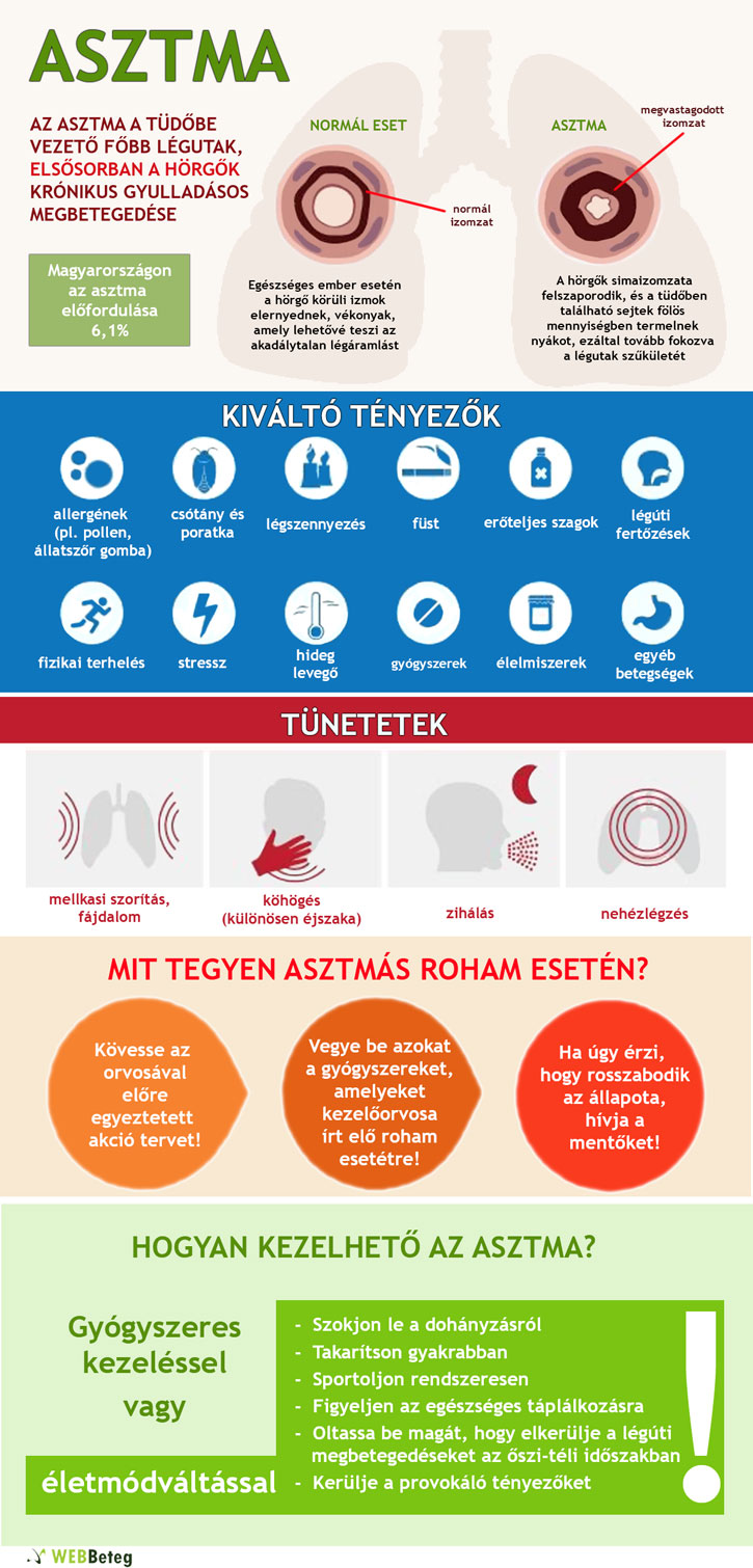 Asztma infografika