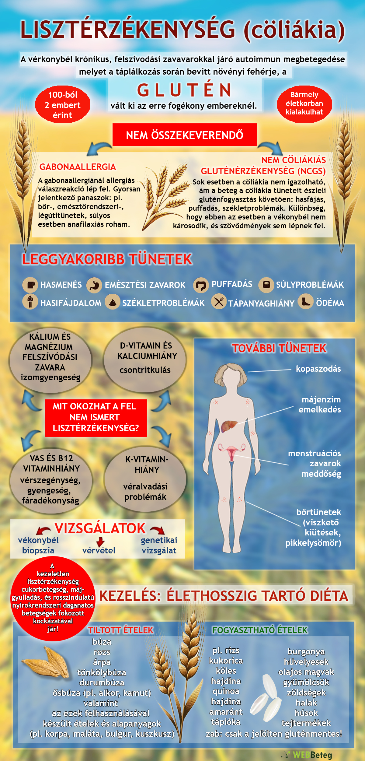 Lisztérzékenység infografika