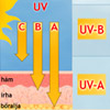 UV-sugárzás és napvédelem