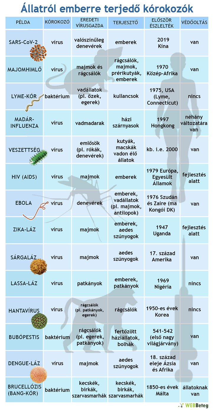 Állati eredetű kórokozók infografika